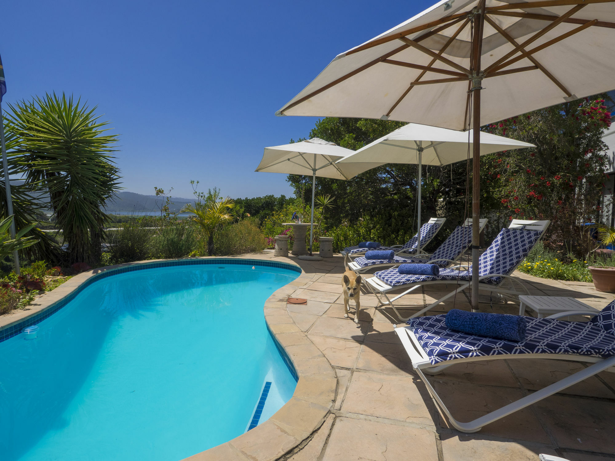 Shining Waters Guest House Вілдернесс Екстер'єр фото